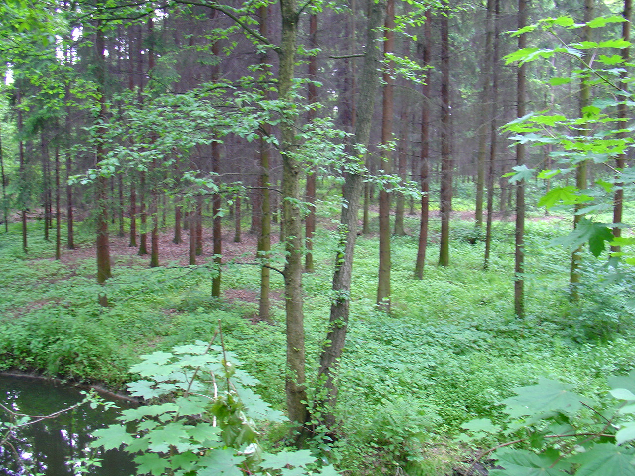 DSC04175.JPG